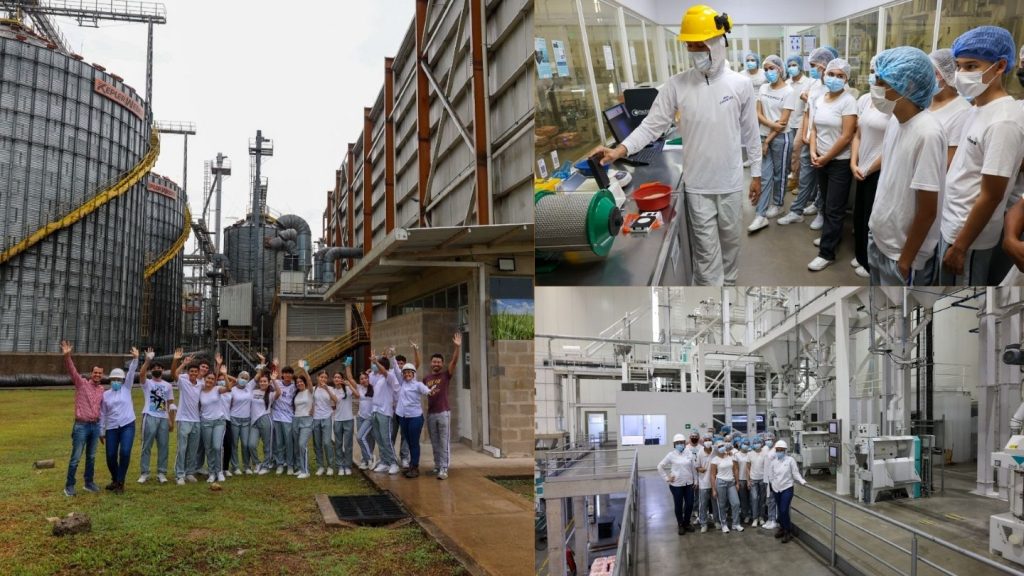 Conociendo la industria arrocera en Casanare Conociendo la industria arrocera en Casanare